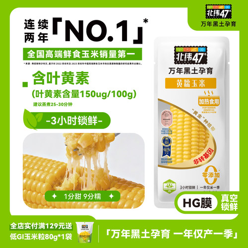 北纬47黑龙江黄糯玉米
