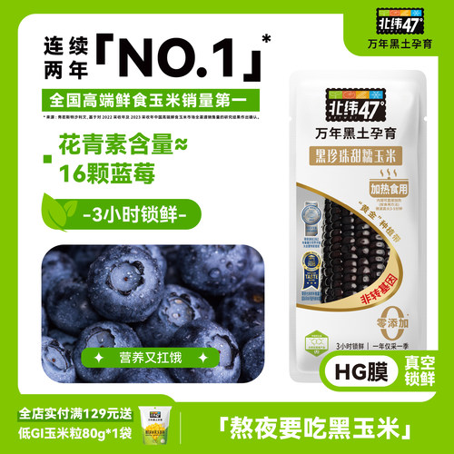 北纬47黑糯鲜食新玉米富含花青素