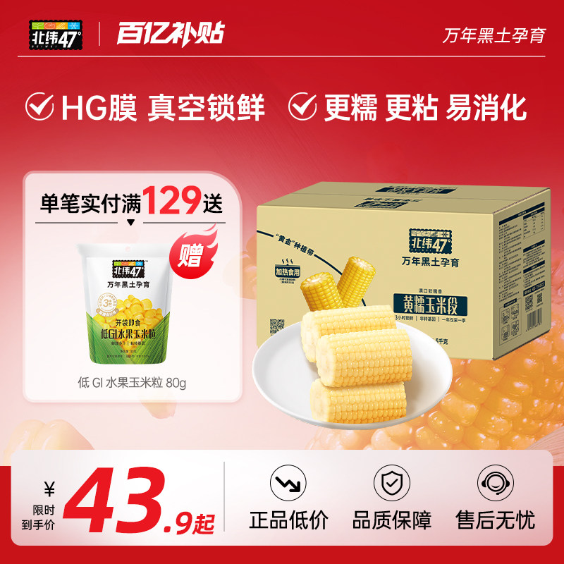 【玉米段】北纬47度黄糯玉米段1.5kg营养粗粮抗饿满口软糯香