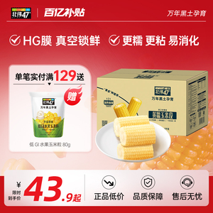 玉米段北纬47度黄糯玉米段1.5kg营养粗粮抗饿满口软糯香