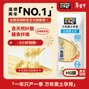 北纬47度糯玉米囤货装30穗代餐东北玉米粗粮软糯清甜真空包装袋