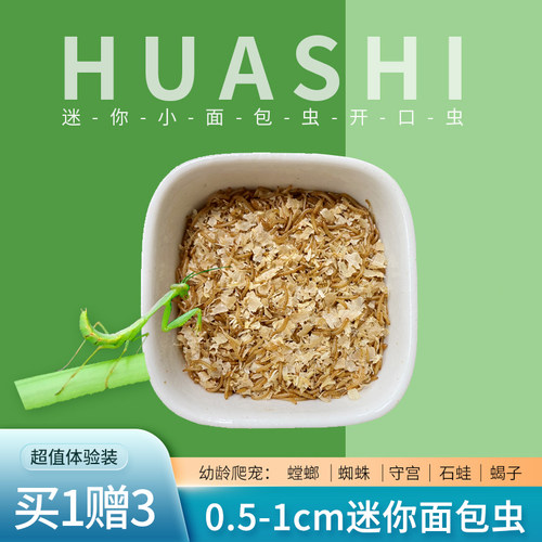 开口小面包黄粉虫活体螳螂蝎子