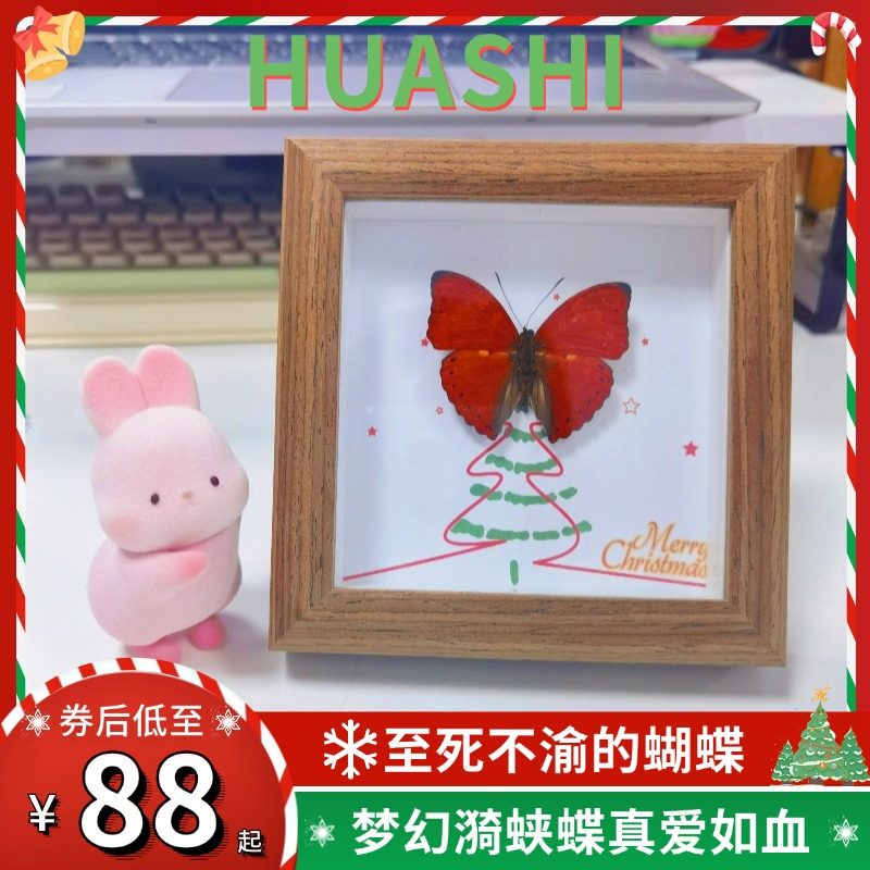 红色蝴蝶红漪蛱蝶血漪蛱蝶真蝴蝶标本相框摆件圣诞情侣新年礼物