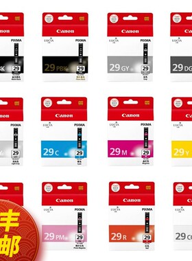 佳能原装PGI29墨盒PRO-1打印机MBK/DGY/PBK/12色照片黑彩29墨水