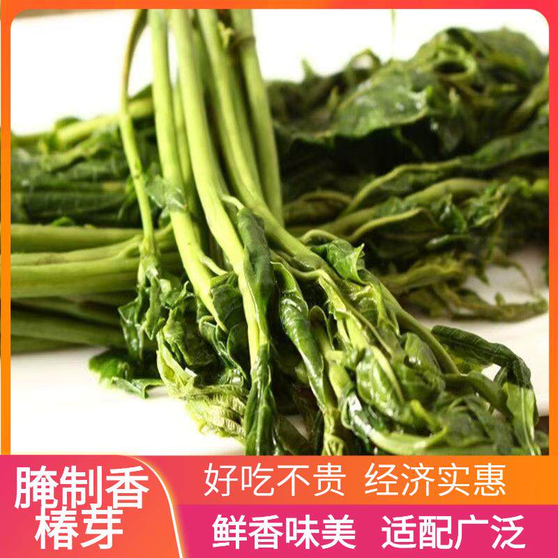 香饭椿咸菜芽山东特产新鲜腌制香椿芽开袋即食下菜酱菜
