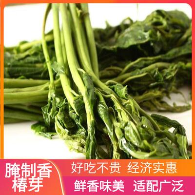 香饭椿咸菜芽山东特产新鲜腌制香椿芽开袋即食下菜酱菜