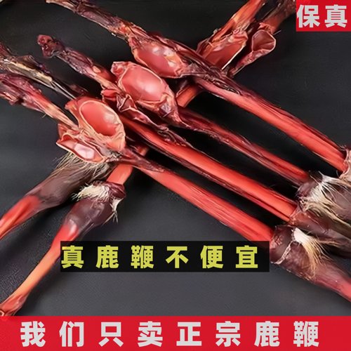 吉林鹿鞭整根鹿鞭特级当季鹿鞭泡酒料鹿鞭正品鹿鞭整根批发