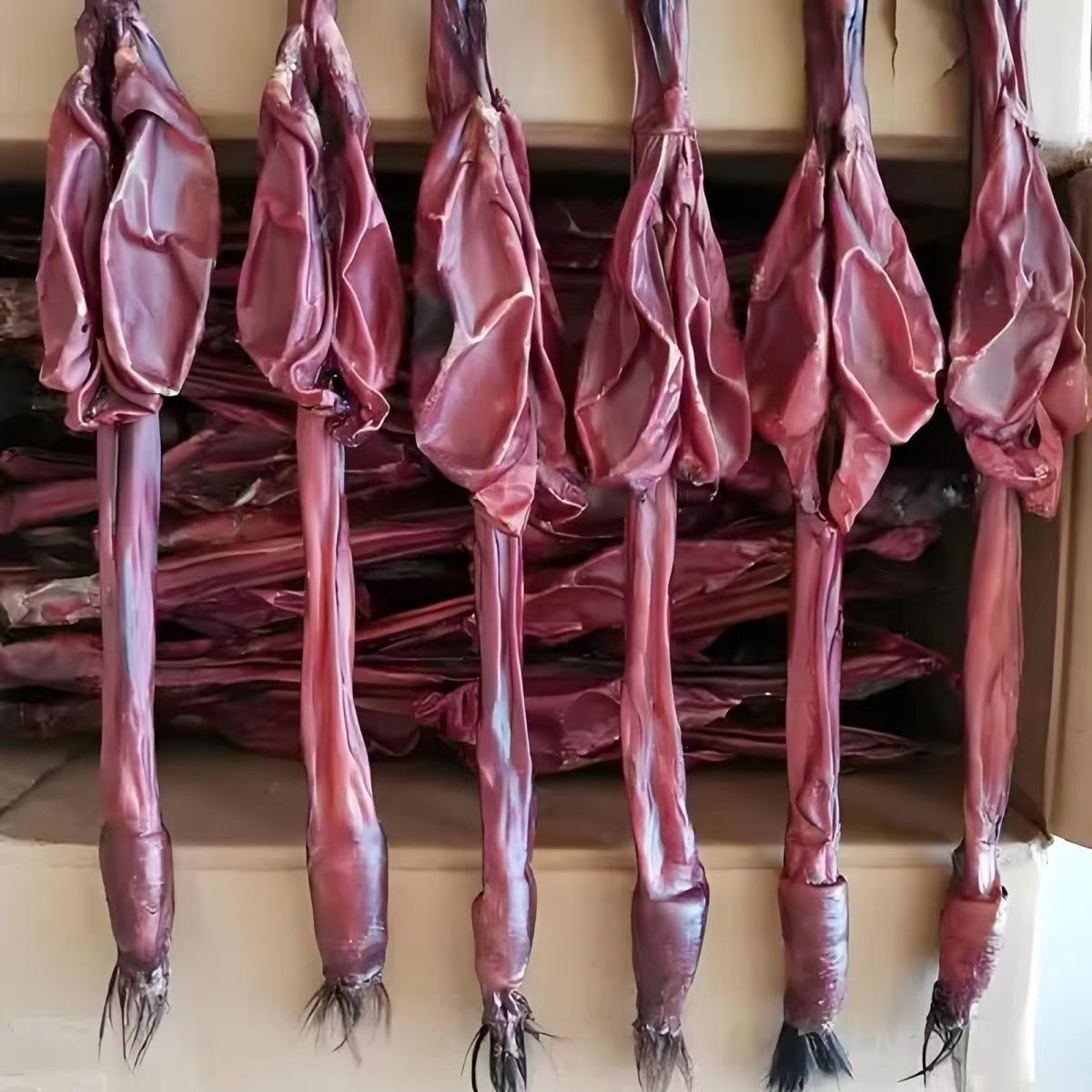 鹿鞭干吉林鹿吉林鹿整根带证鹿泡酒男性鹿鞭片正品鹿鞭