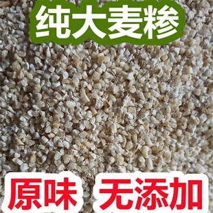 大麦糁子苏北纯大麦粯子大麦仁大麦粒子渣粉大麦彩子粉煮稀饭