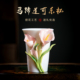 非遗陶瓷马蹄莲杯子咖啡杯水茶杯新年情人节送女生生日礼物高颜值