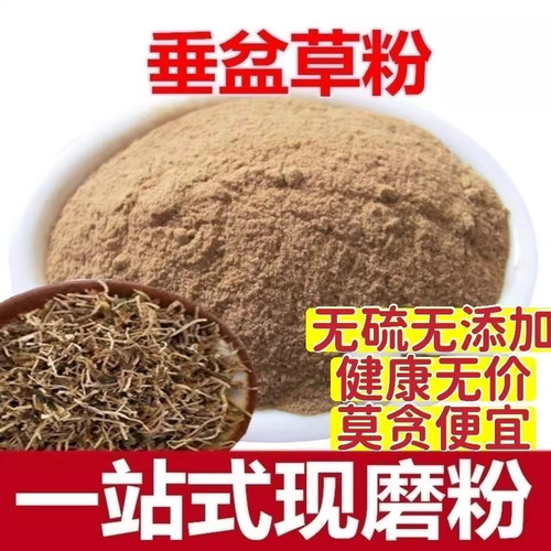 垂盆草粉中药材500g干货泡茶