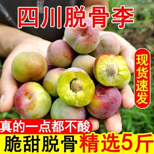 四川茵红李青红脱骨李子新鲜脆甜当季整箱水果青脆李脆红李半边红
