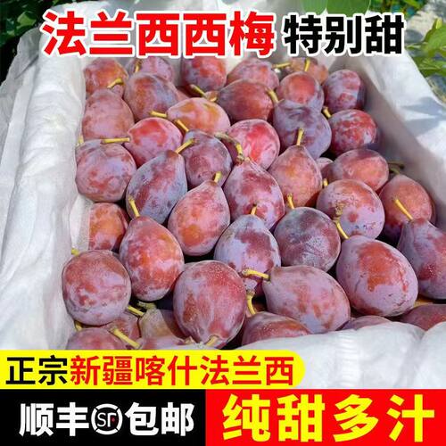 正宗新鲜西梅5斤法兰西当季新疆水果整箱大果孕妇特产甜李子鲜果2