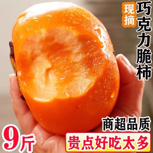 阳丰巧克力脆柿子新鲜水果柿子当季正宗冰糖心黄甜脆火晶柿子整箱