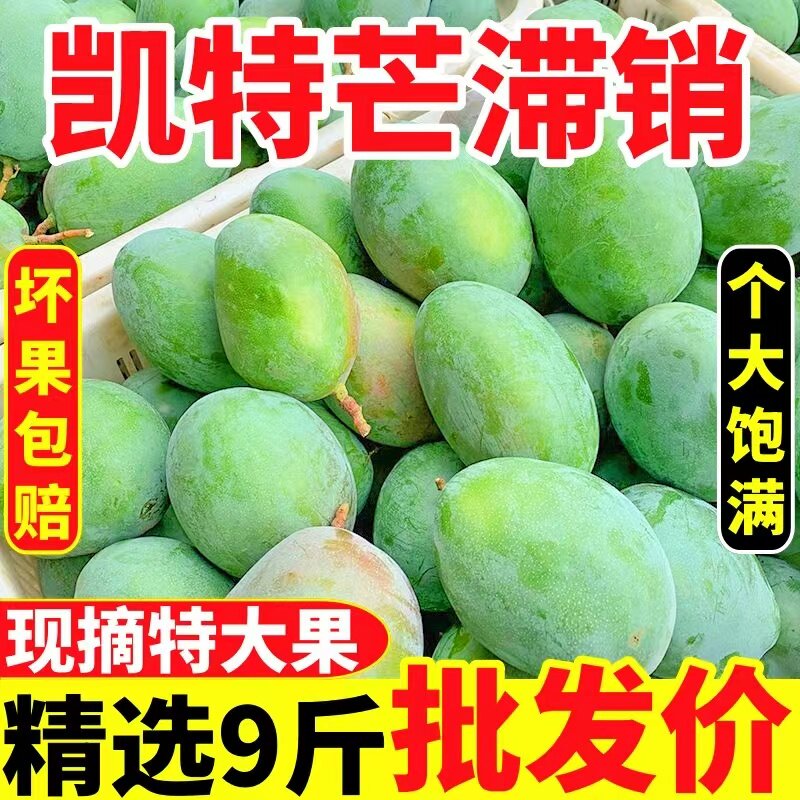 四川攀枝花凯特芒果新鲜9斤应季水果芒果整箱包邮特大青忙果当季