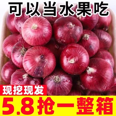 农家现挖水果洋葱10斤脆甜紫皮新鲜蔬菜圆葱头整箱包邮优质大葱5