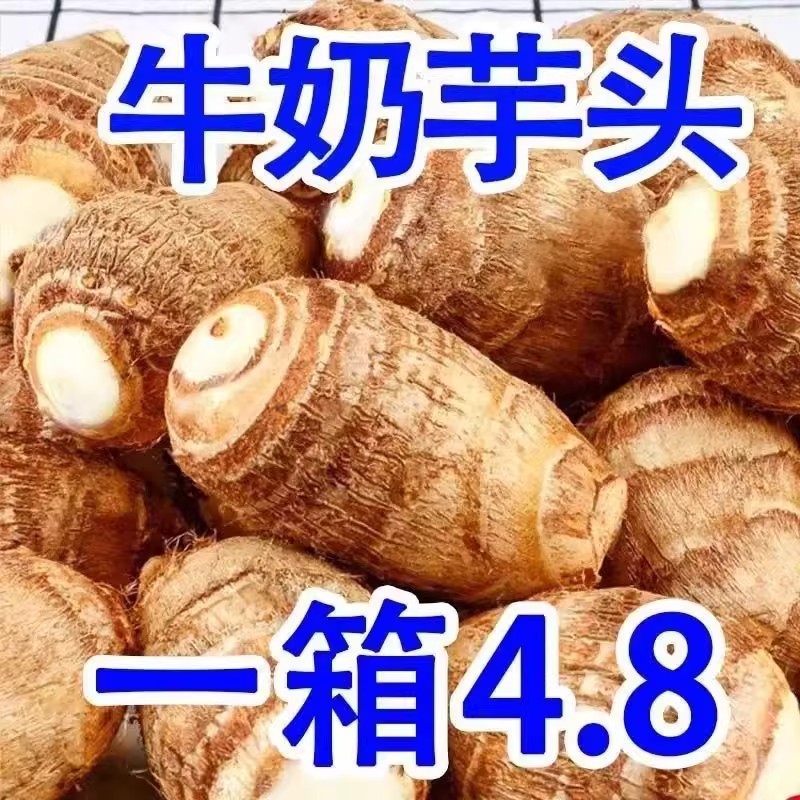 2025新牛奶小芋头新鲜农家粉糯毛芋头香芋艿净重9斤芋圆5批发