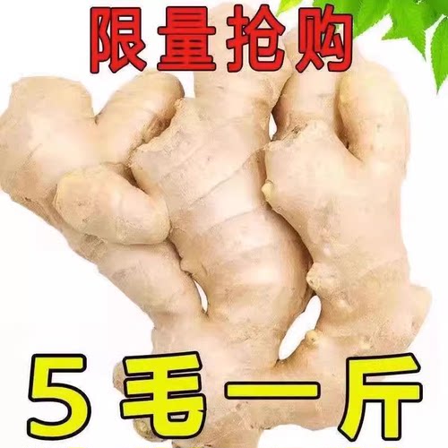山东大姜老姜生姜新鲜黄姜土姜现挖子姜嫩姜鲜姜嫩姜牙10斤包邮