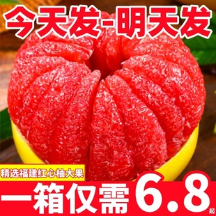 福建红心柚子新鲜水果平和红肉蜜柚9斤葡萄三红琯溪柚整箱包邮3