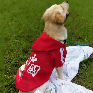 帅气防掉毛中大型犬冬天狗狗红色加绒卫衣 边牧大狗专用衣服秋冬季