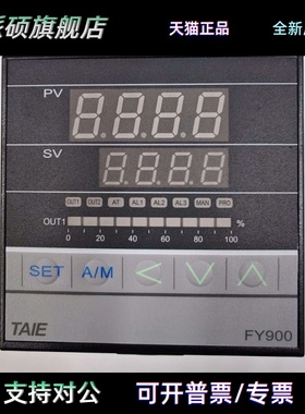 FY900-302110/202110/102110 FY900-102100/202100/302100 台仪