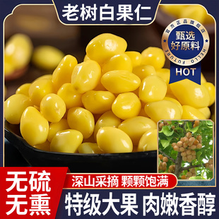 央妈推荐！白果银杏果官方旗舰店真空锁鲜野生中药材炒熟即食去壳