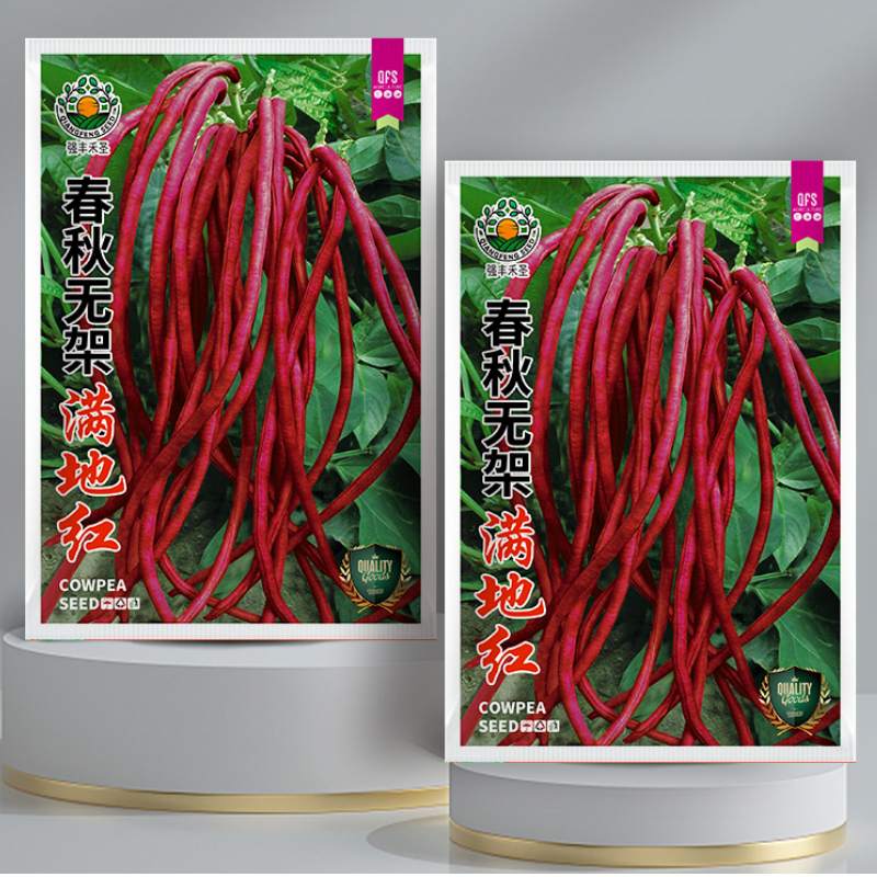 春秋无架豆满地红豇豆角种子高产春季秋季耐热四季紫豆角蔬菜种籽