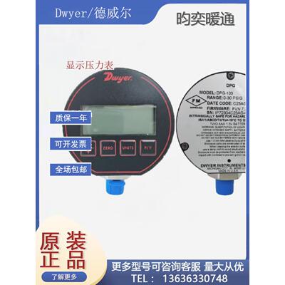 德威尔DPG-102/103/104/105/106/107/108/109/110/111压力显示表