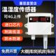温湿度传感器RS485壁挂大棚机房防水高精度变送器工业级温湿度计