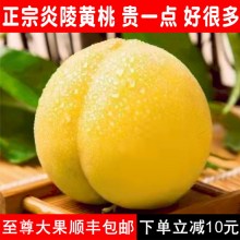 现货正宗湖南炎陵黄桃现摘现发新鲜水果孕妇锦绣桃子精品大果顺丰