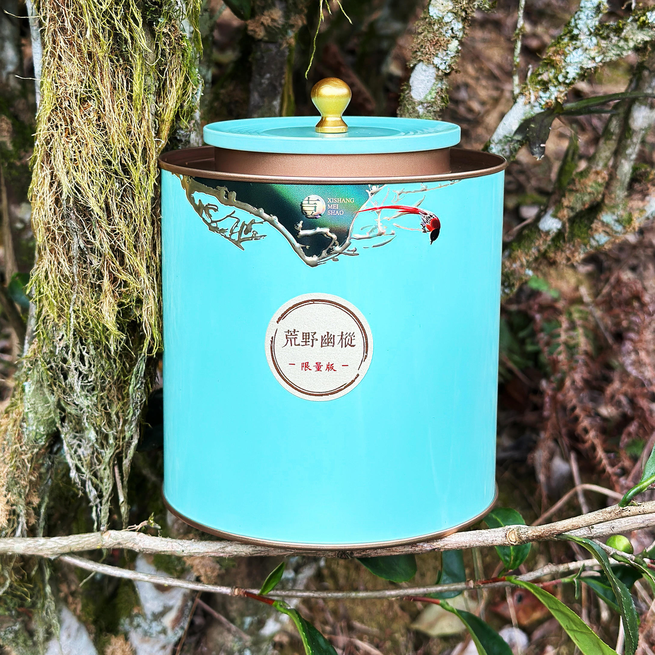 【荒野幽枞】独特山场气息 清甜滑口 非常好喝 小高货漳平水仙叶