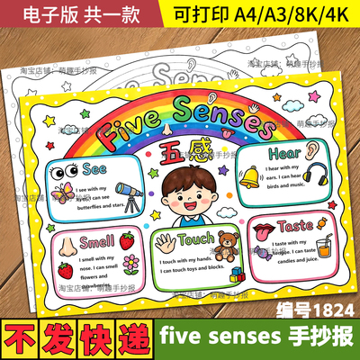 five senses英语手抄报模板三年级下册我的五感小报电子版线稿a4
