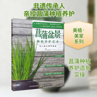 菖蒲盆景种植养护艺术 文人案头清供雅玩 初舍,朱长虹 编 中国农业出版社