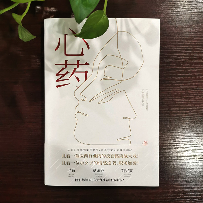 心药 龚莹莹著 著 百花洲文艺出版社