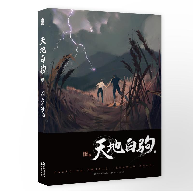 天地白驹·上 非天夜翔 著 中国致公出版社