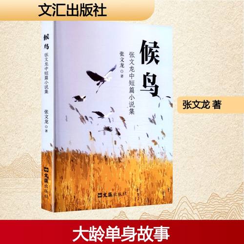 候鸟 张文龙 著 著 文汇出版社