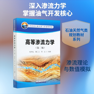 高等渗流力学(第2版高) 程林松,曹仁义,贾品 编 石油工业出版社