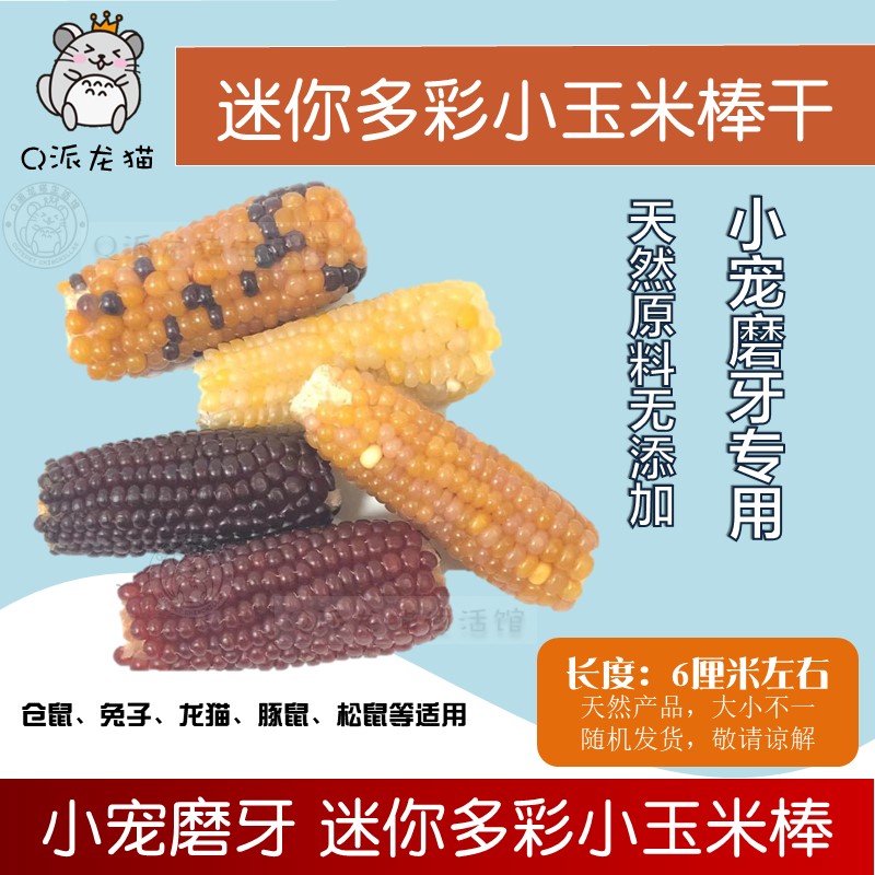 迷你兔子豚鼠仓鼠龙猫烘干小玉米