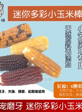 迷你兔子豚鼠仓鼠龙猫烘干小玉米