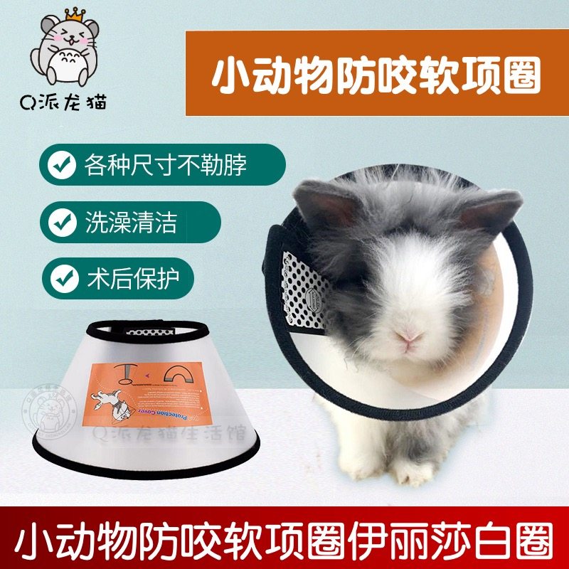 小宠用伊丽莎白圈宠物防咬软项圈兔子龙猫豚鼠防抓头套脖圈小号,宠物/宠物食品及用品,兔兔服饰,淘宝优惠券,粉丝福利购,淘宝优惠卷