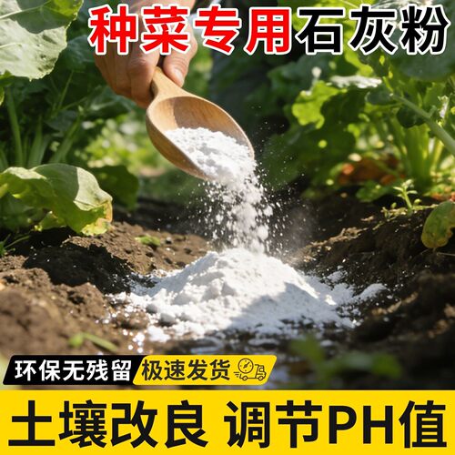 石灰1/2/3/5/10斤