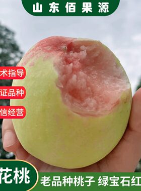 白花桃树苗嫁接绿宝石红肉血桃百花桃苗老品种桃子果苗当年结果树