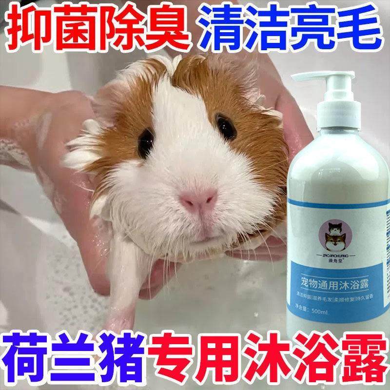 【荷兰猪专用】豚鼠沐浴露荷兰猪沐浴露除臭杀螨豚鼠洗澡/无礼品,包装,胶带座/封箱器,淘宝优惠券,粉丝福利购,淘宝优惠卷