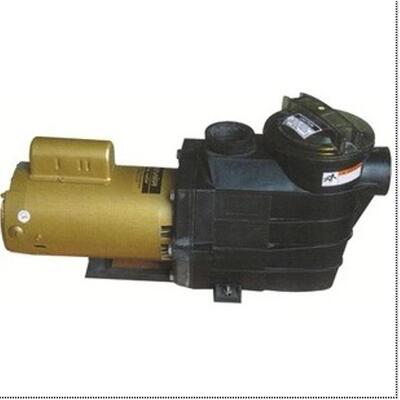 泳池设备/比美塑料泵/3HP/220V/泳池水疗泵/吸污泵/过滤循环水泵