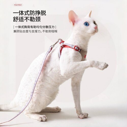 PETSTAR猫牵引绳背心式猫