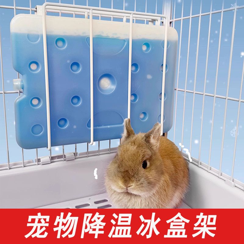 宠物龙猫兔子悬挂散热冰盒架猫狗夏季防暑降温冰窝冰袋降温神器