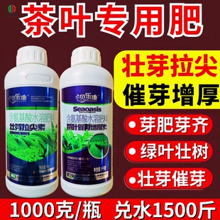 茶叶壮芽拉尖素专用肥催芽增厚肥壮芽拉尖芽多叶厚嫩绿茶叶壮芽剂