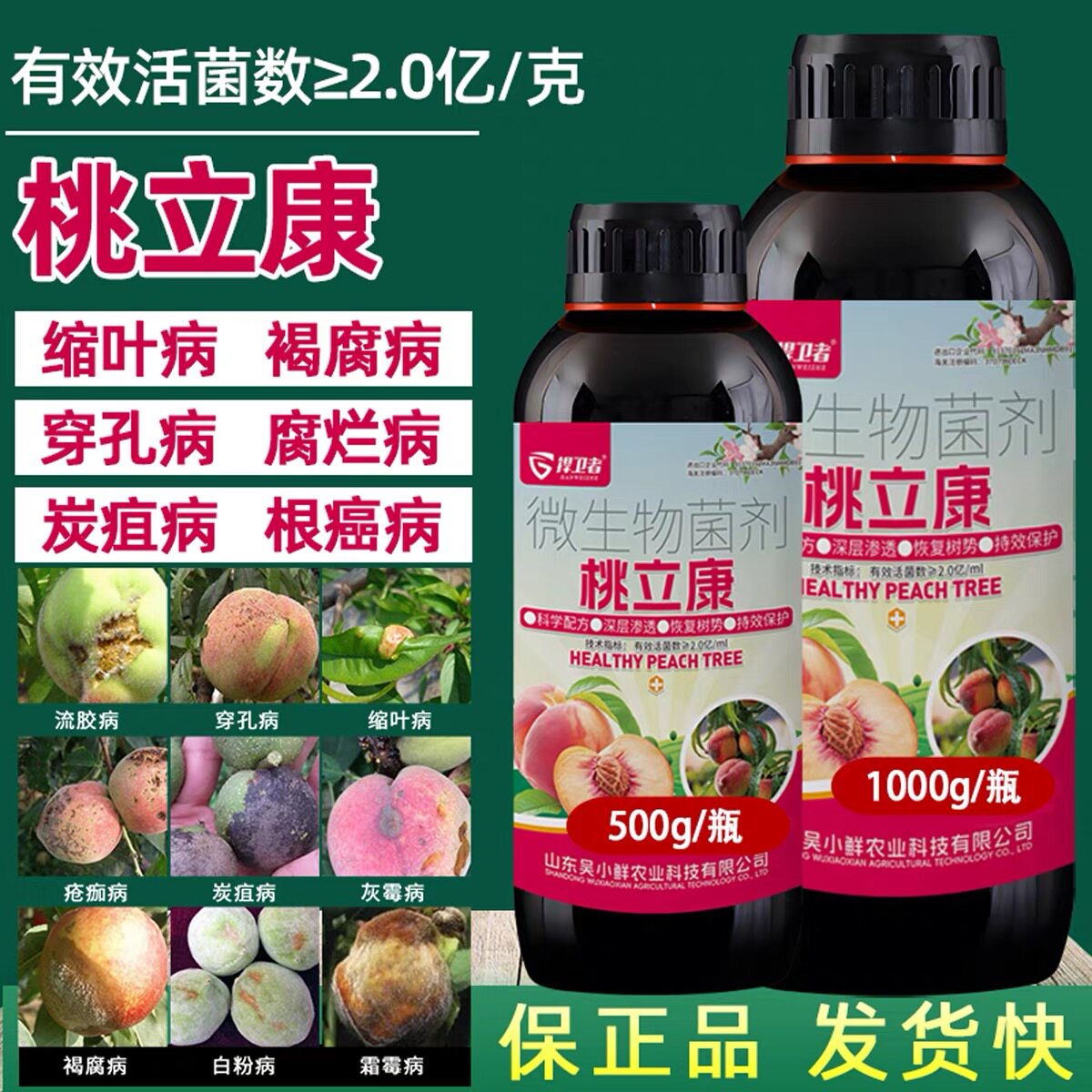 桃立康菌剂治轮纹根腐干腐流胶