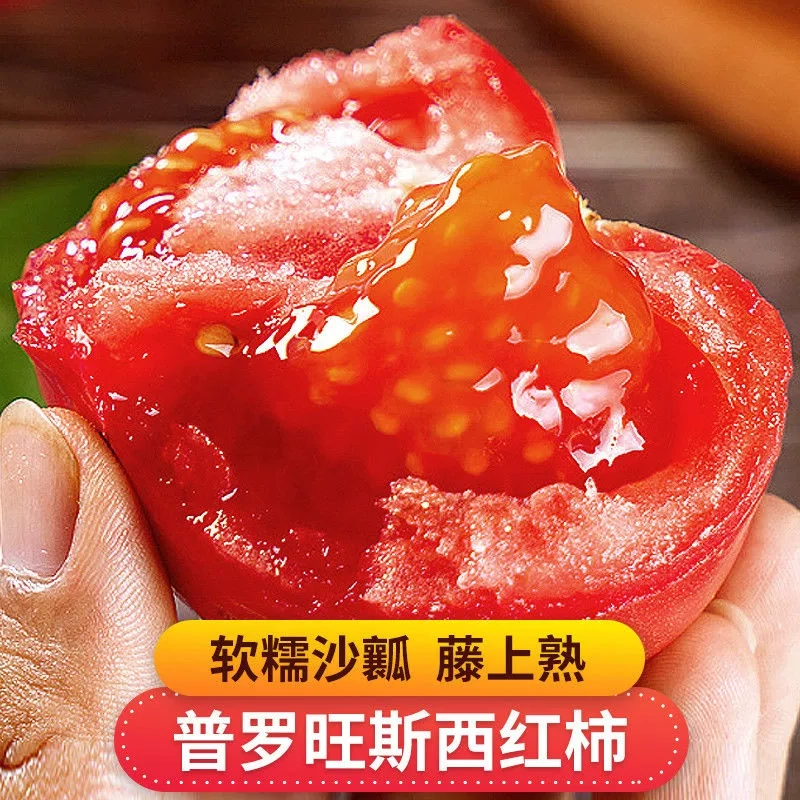 普罗旺斯西红柿沙瓤番茄可生吃