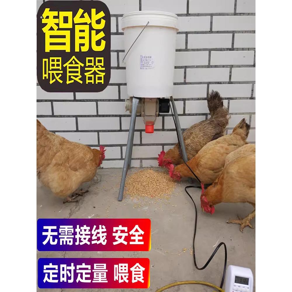 养鸡自动喂食器鸽子鸡鸭信鸽食槽定时全自动喂鸡神器鸽子用品用具
